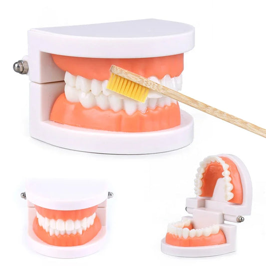 Simulated  Intelligence Brushing Tooth Teaching
